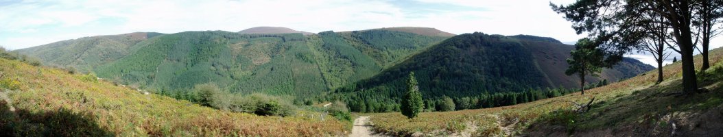 Ekialdetik igotzen den bidetik ekialdera ikuspegia