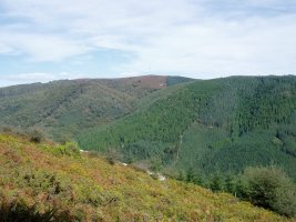 Hego-mendebaldetik ikusita, Usako atxa ingurutik