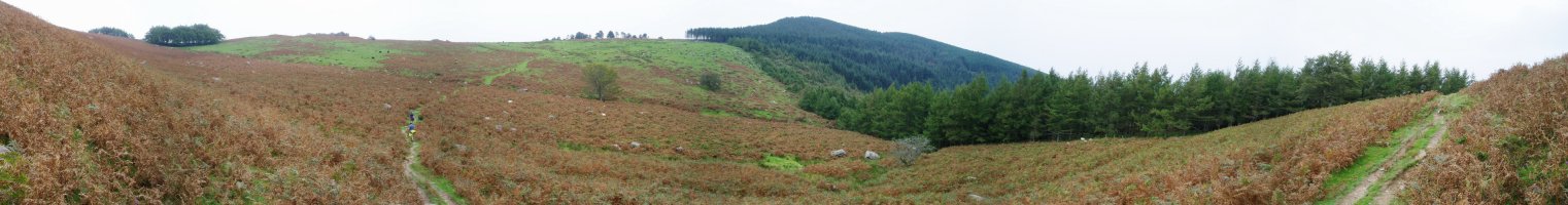 Besadegitik Eteneta lepora igotzen den bidetik ikusita