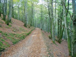 Uitzi mendatetik igotzen den bidea