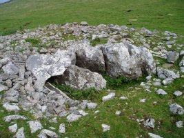 Bi Aizpen Sepulture trikuharria