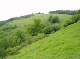 Ipar-mendebaldetik ikusita