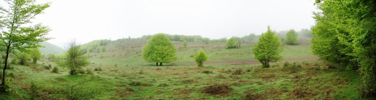 Eskuñeta inguruko paisaia