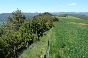 HMko bizkarreko bidea