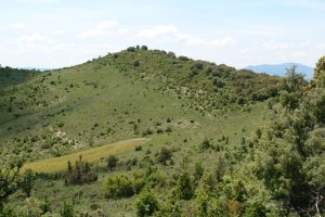 Tontorra, ekialdetik ikusita