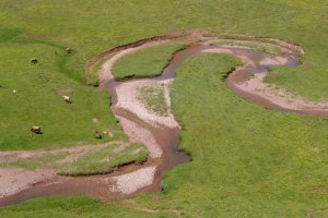 Errekaren arrastoa xeheago