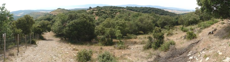 Larreako atakara jaisten