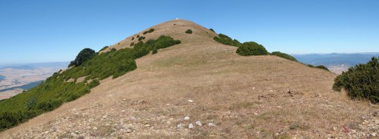 Ekialdeko bizkarretik