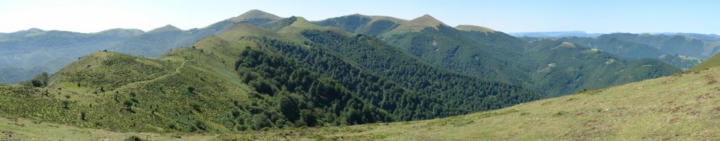 Hegoaldeko mendiak, Saioa gailentzen dela.