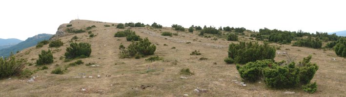 Mko bizkarretik ikusita