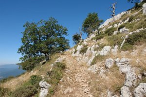 Uharte-Arakil aldeko bidea