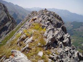 Mendebaldeko tontorra