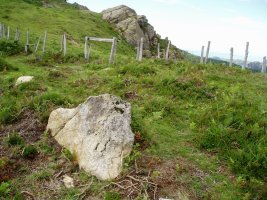 Gaztarrita II mairubaratza