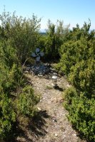 Buzoia, ezpelak inguratua