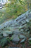 IEko zeharbide zaharra