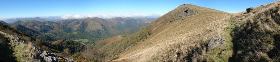 Bardako lepora heltzen, IEko zeharbidetik