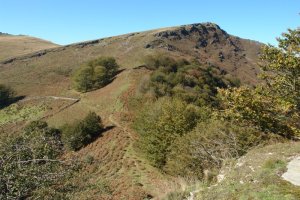 Barda eta Gorostiko lepoa