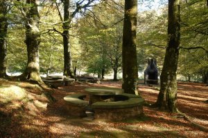 Leurtzako aisiguneko mahai eta sutokiak