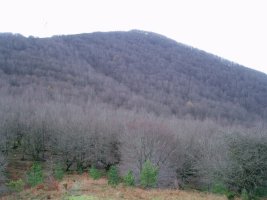 Keixtuigaña ipar-ekialdetik ikusita