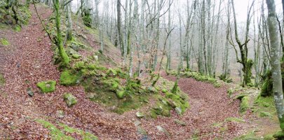 Gainlabur lepora iparraldetik igotzen den bidea