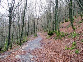 San Juan portura iparraldetik igotzen den bidea
