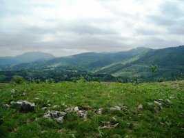 Ermañaldeko harrespilak