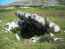 Obioneta iparreko trikuharria