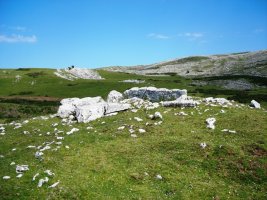 obioneta hegoko trikuharria