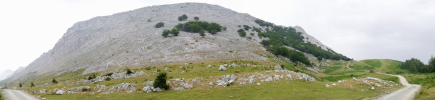 Urkiolatik igotzen den bidetik ikusita