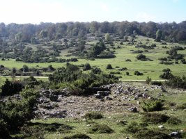 Itaida ipar  trikuharria