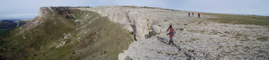 Leroneko atakaren ingurutik ikusita