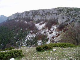 Iparraldetik ikusita