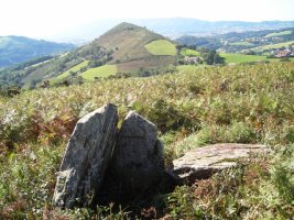 Galbarioko trikuharria