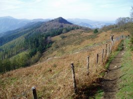 Hego-ekialdetik ikusita