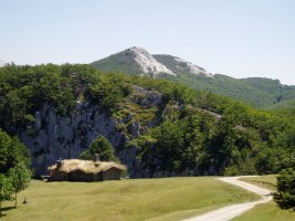 Burgalaitz eta Perusaroi aterpea