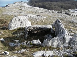 Etxarriko Portugañe mendebaldeko trikuharria