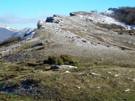Etxarriko Portugañe ekialdeko trikuharria