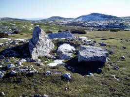 Trikuarriko trikuharria