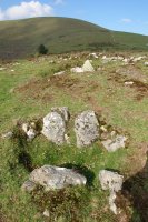 Aldameneko arriarte txikia