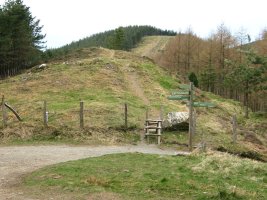 Etzelako lepotik ikusita