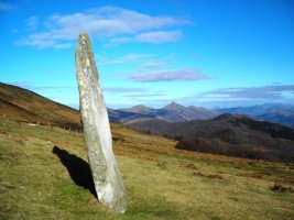 Iruñarriko  zutarria 