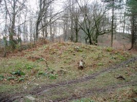 Praalata trikuharria