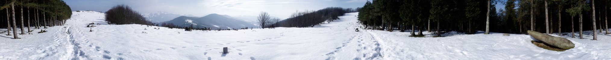 Arribiribilleta zutarriaren ingurutik 360ºtako ikuspegia