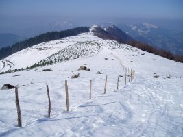 Iruiatik Atxolinera igotzen den bidetik ipar-mendebaldera ikuspegia