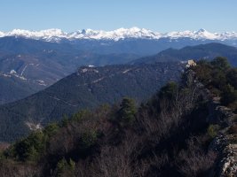 Tontorretiko ikuspegia: Arburua eta Pirinioak