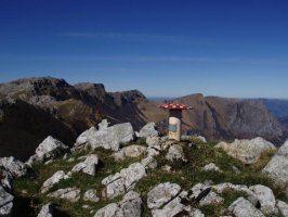 Pallardiko tontorra eta mailoak