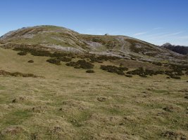 Pallardi, hegotik ikusita