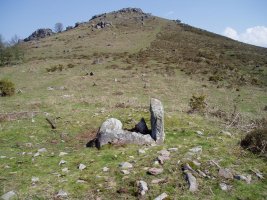 Ibaineta lepoko trikuharria