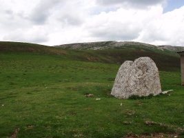 Trikuharria Goñiburutik hurbil