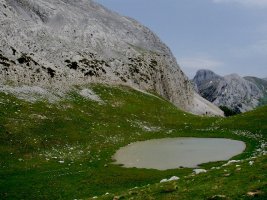 Nafarroako "ibon" bakarra!